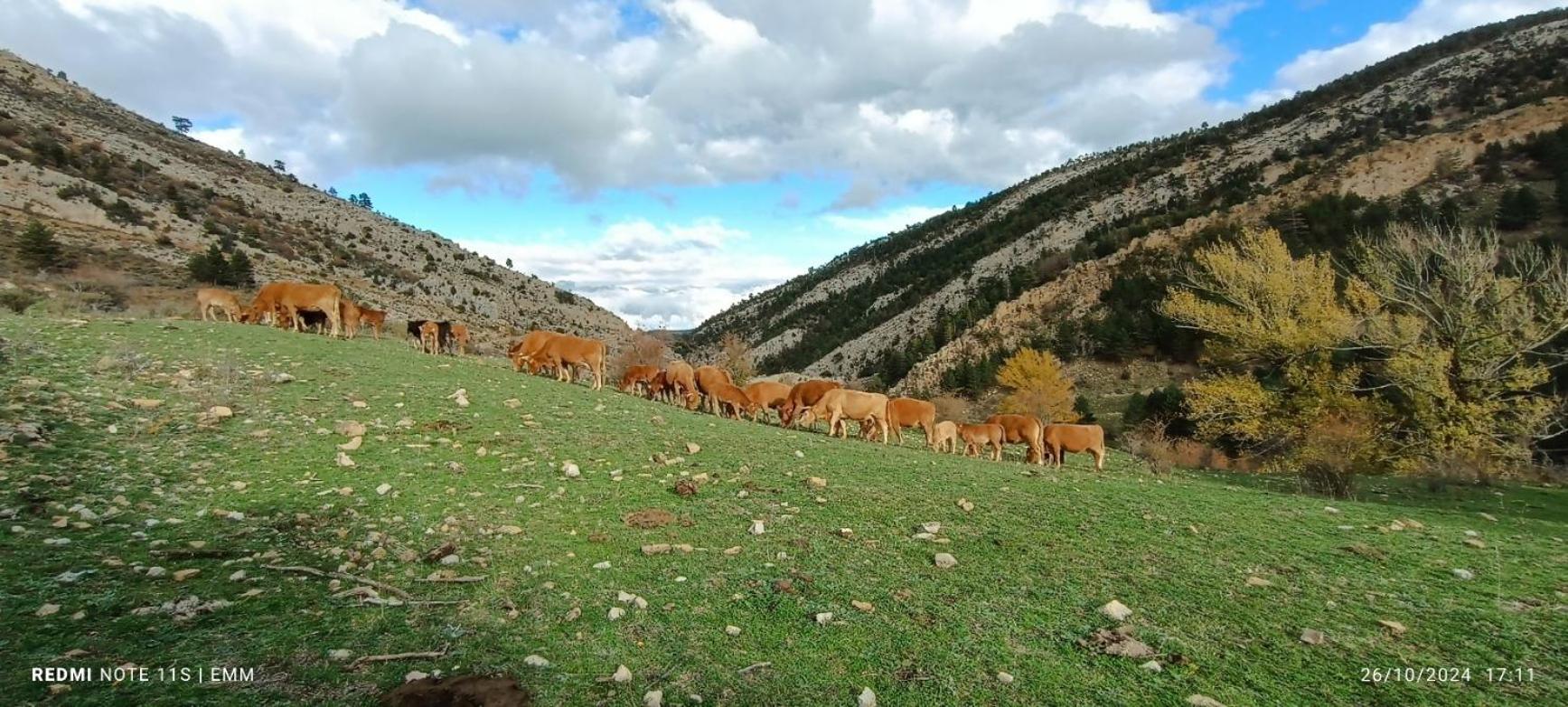 Apartamentos De Turismo Rural La Rocha Fortanete Ngoại thất bức ảnh